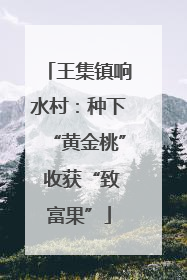 王集镇响水村：种下“黄金桃” 收获“致富果”